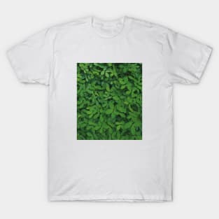 Green plant photo - minimalist art - nature photography T-Shirt